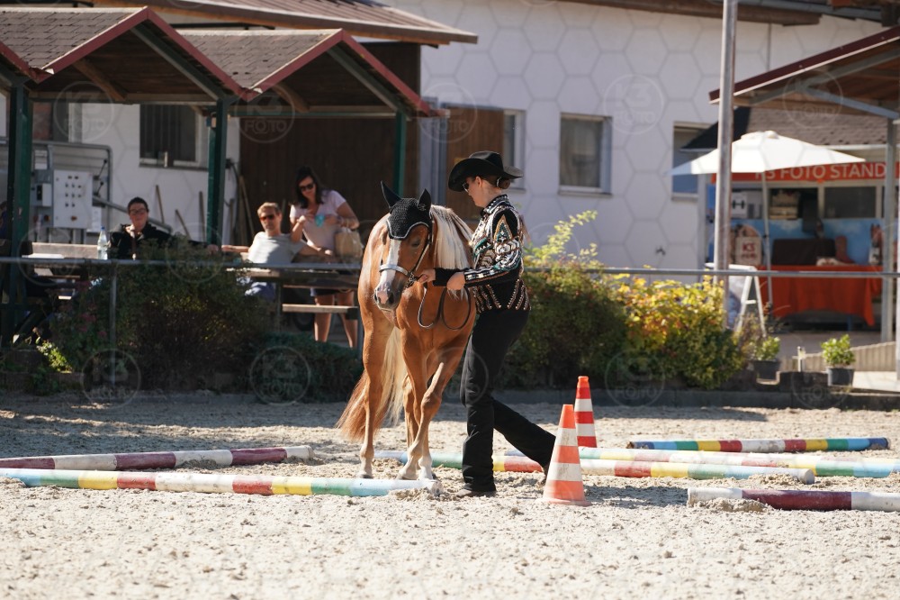 s_A_907594.JPG